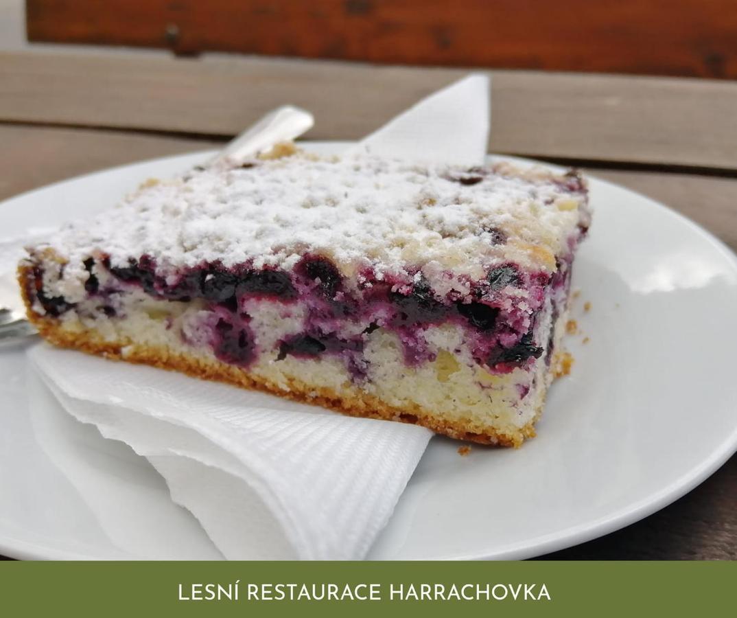 Готель Lesni Restaurace Harrachovka Табор Екстер'єр фото